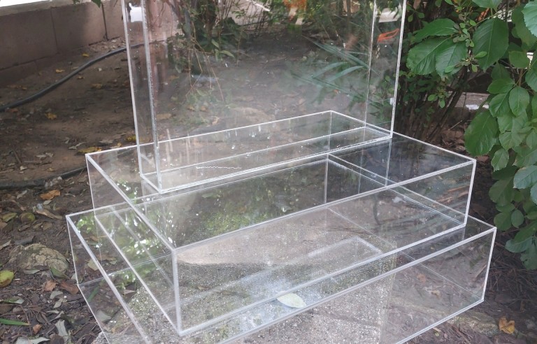 Lapos plexi dekorelem