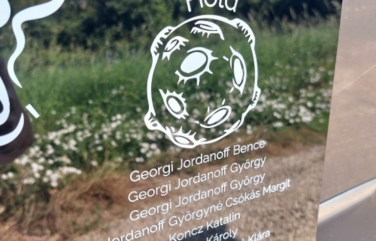 Esküvői ültetőtábla